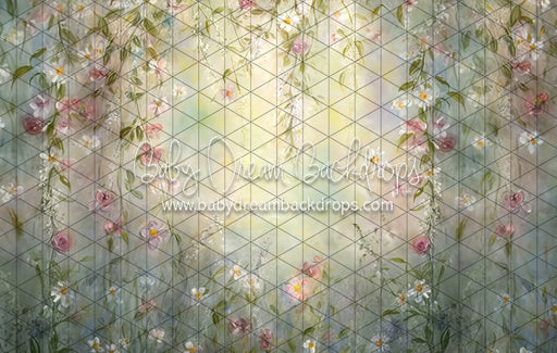 Believe in Fairies (LL)