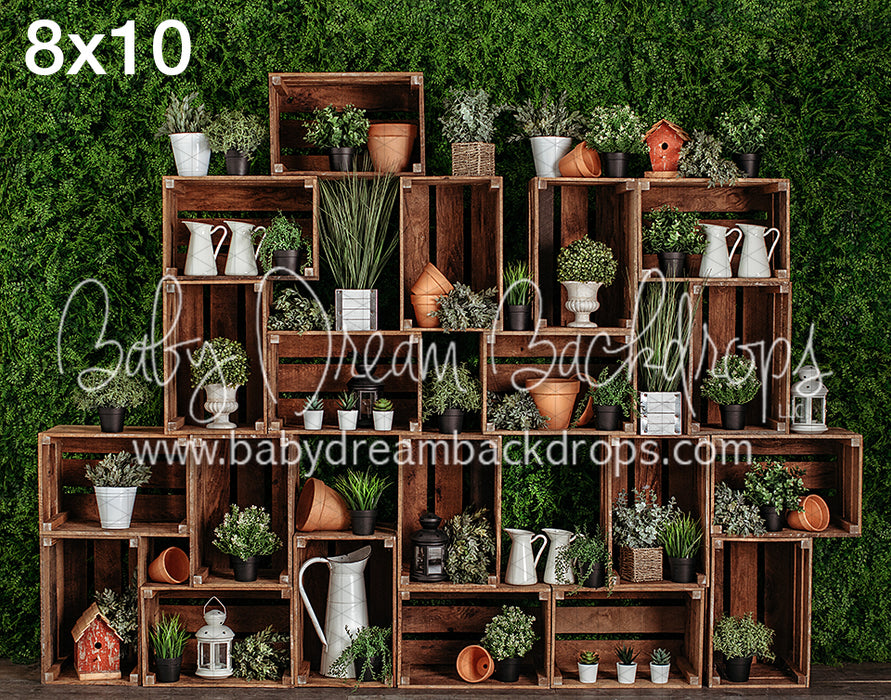 Bienvenida Primavera 