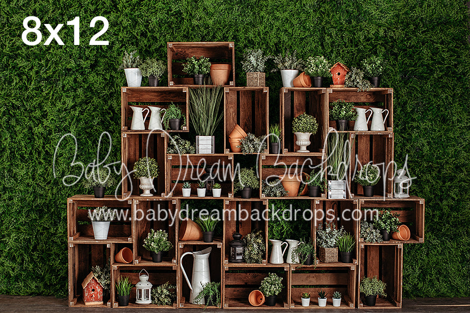 Bienvenida Primavera 