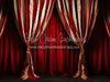 Big Top Magic Side Curtains (JA)