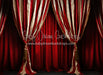 Big Top Magic Side Curtains (JA)