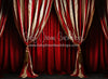 Big Top Magic Side Curtains (JA)