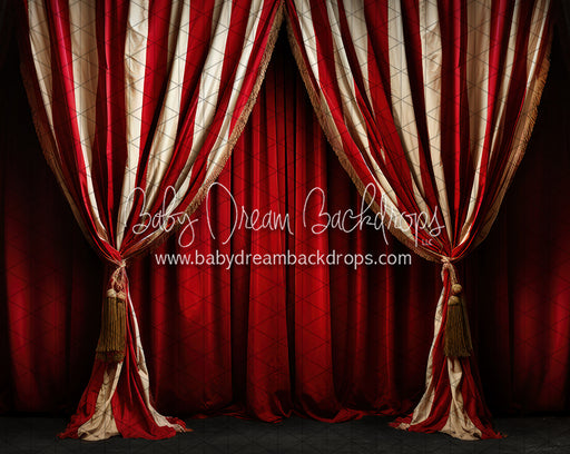 Big Top Magic Side Curtains (JA)
