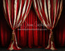 Big Top Magic Side Curtains (JA)
