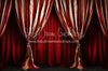 Big Top Magic Side Curtains (JA)