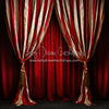 Big Top Magic Side Curtains (JA)