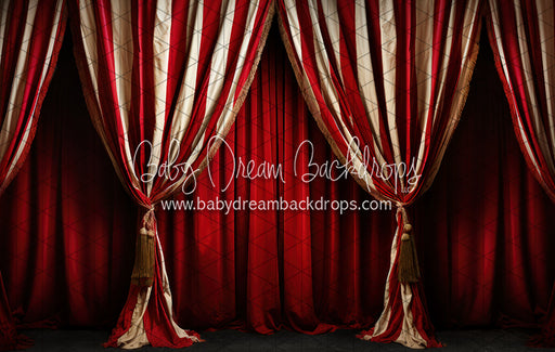 Big Top Magic Side Curtains (JA)