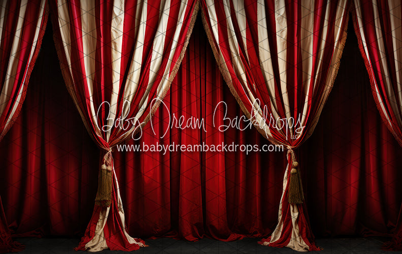 Big Top Magic Side Curtains (JA)