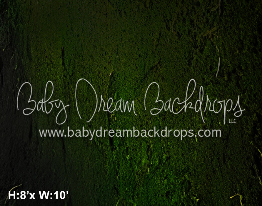 Big Bad Wolf 1 Floor (SM)