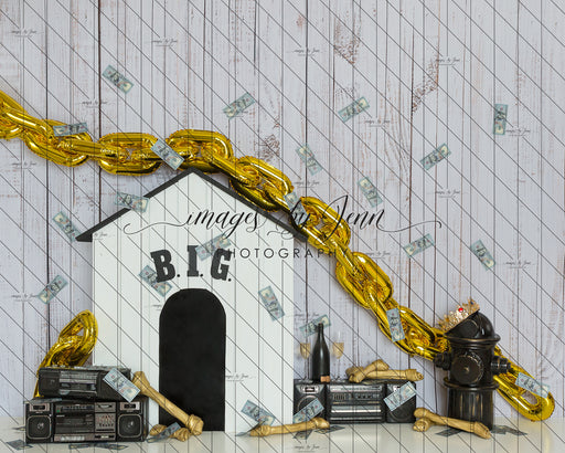 Big DOG Dog House Champagne 