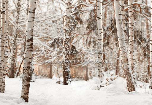 Birch Baby Warm Tones