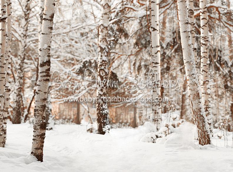 Birch Baby Warm Tones