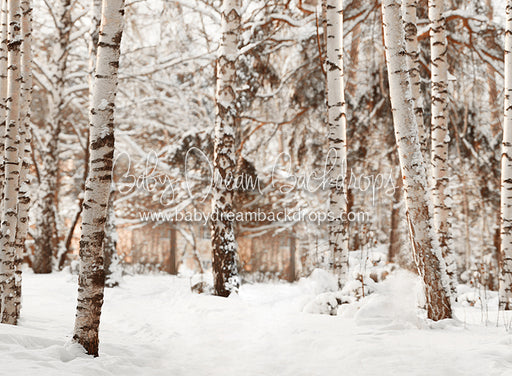 Birch Baby Warm Tones