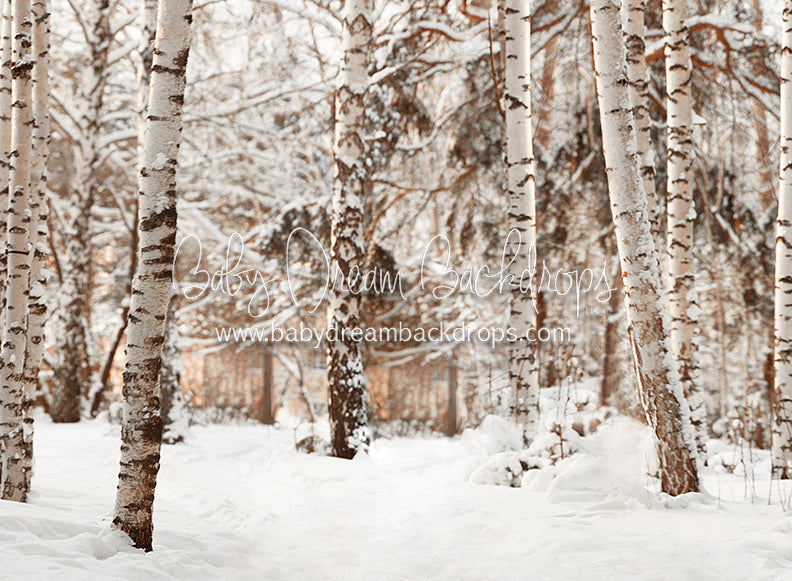 Birch Baby Warm Tones