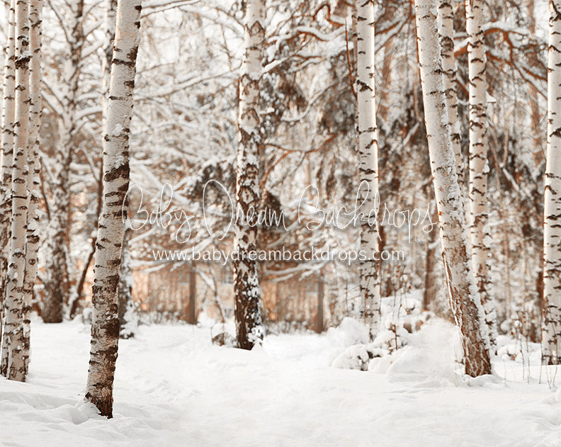 Birch Baby Warm Tones