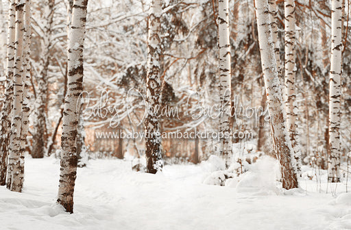 Birch Baby Warm Tones