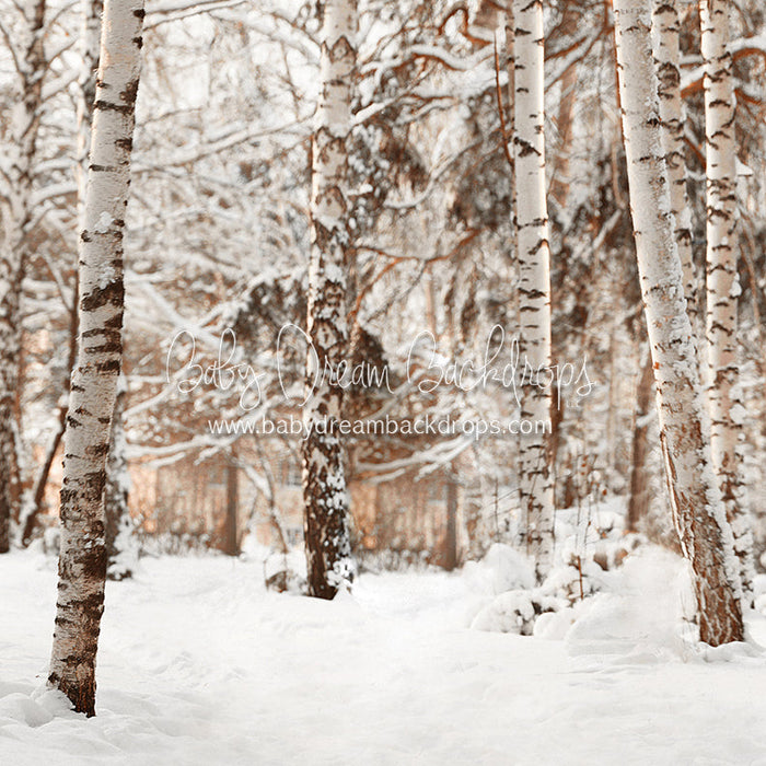 X Drop birch baby warm tones