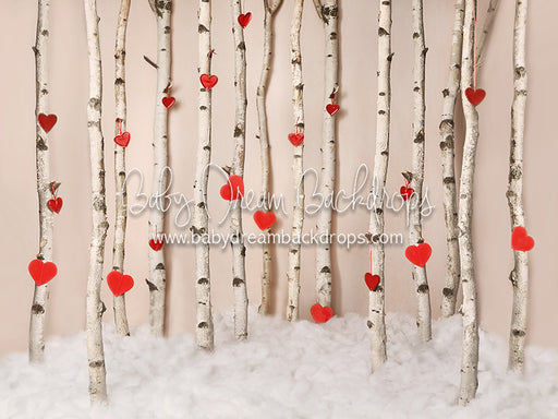 Birch Beau - 8x10 - BS