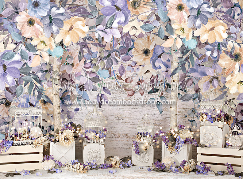 Birch Beauty - 6x8 - BS  