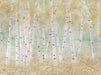 Birch Breeze -  60Hx80W -SS  