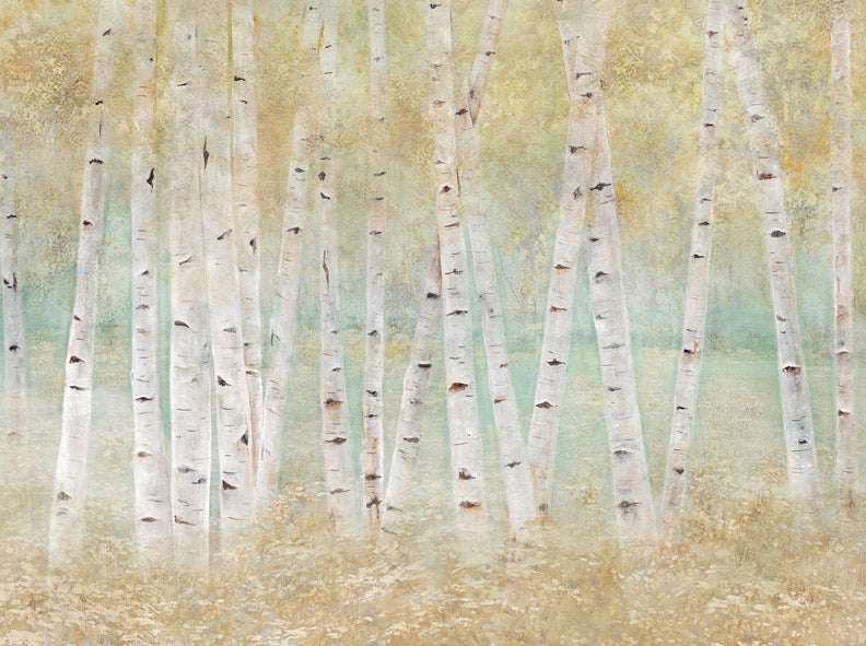 Birch Breeze -  60Hx80W -SS  