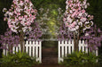 Blooming Pathway 