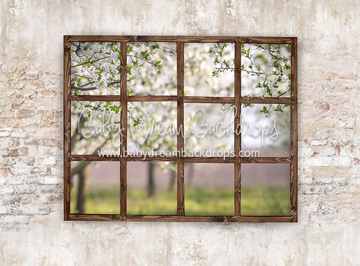 Blossom Views (Dark)