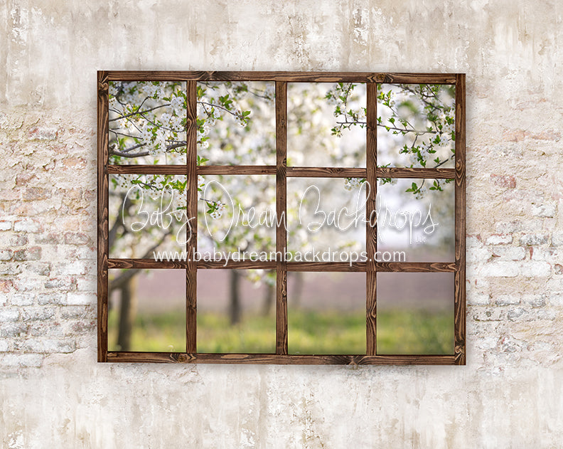 Blossom Views (Dark)