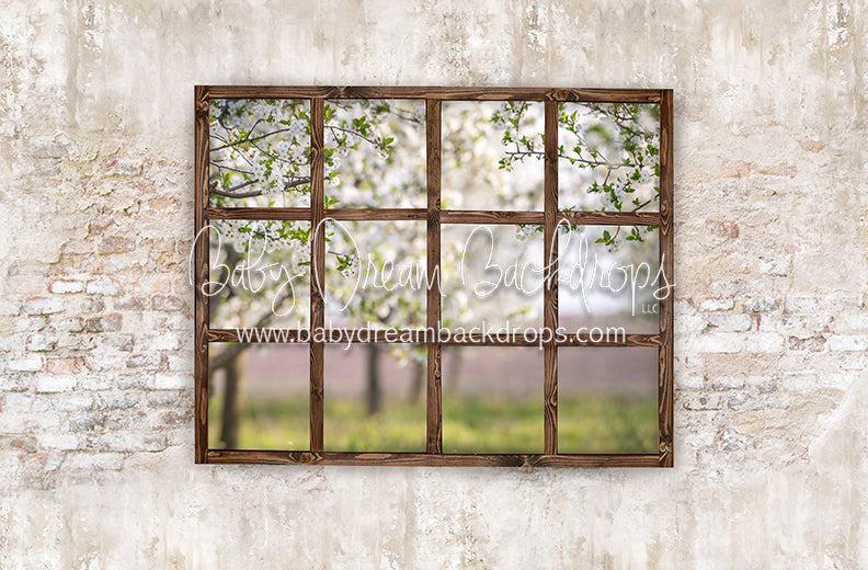 Blossom Views (Dark)