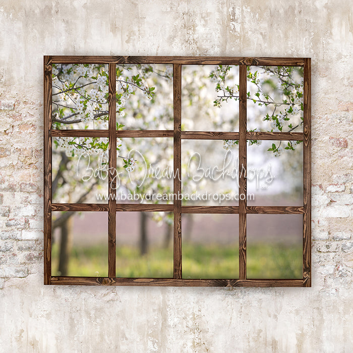 Blossom Views (Dark)