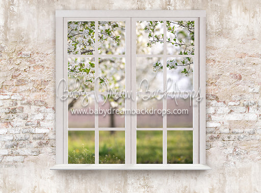 Blossom Views (White)