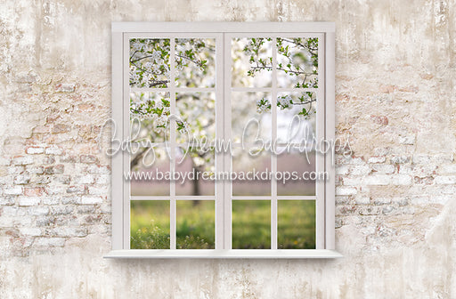 Blossom Views (White)
