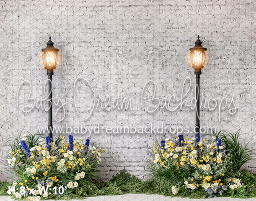 Blue Hyacinth Pathway (VR)