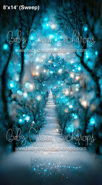 Sweeps Blue Sparkly Snowy Path (SM)