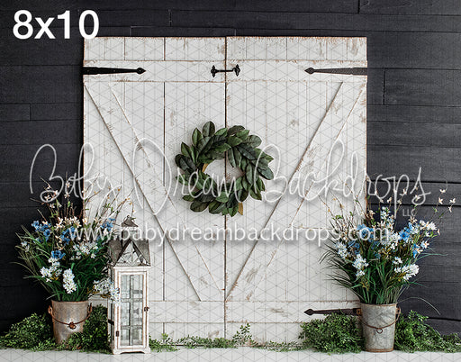 Blue Spring Entry -VR