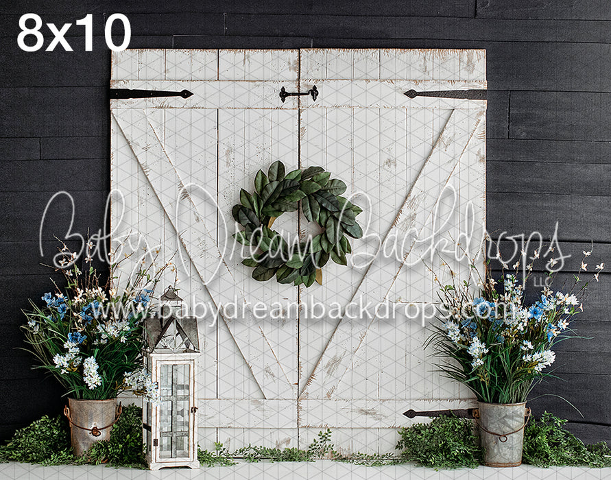 Blue Spring Entry -VR