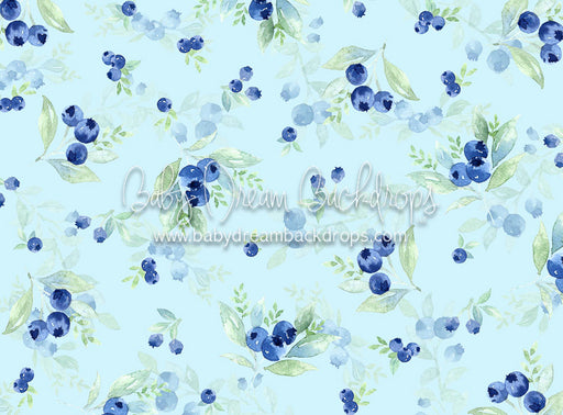 Blueberry Treat - 6x8 - CC  