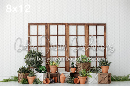 Boho Allegra 