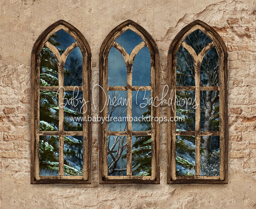 Boho Holiday Windows