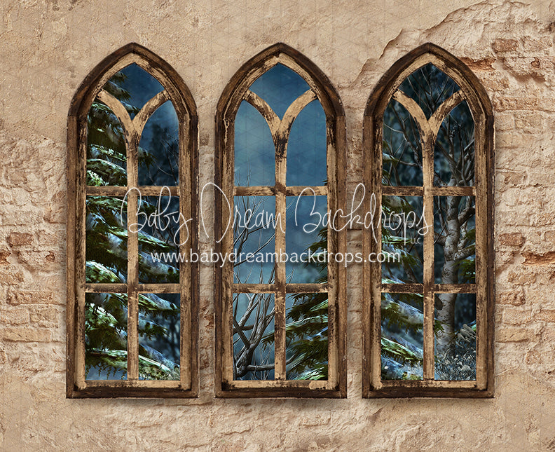 Boho Holiday Windows