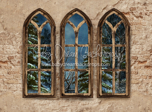 Boho Holiday Windows