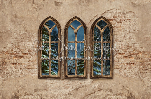 Boho Holiday Windows