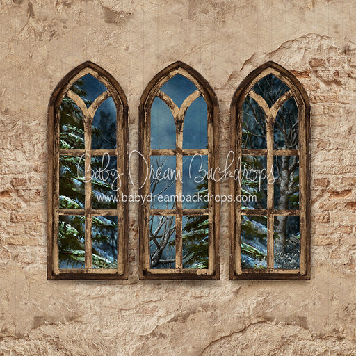 Boho Holiday Windows