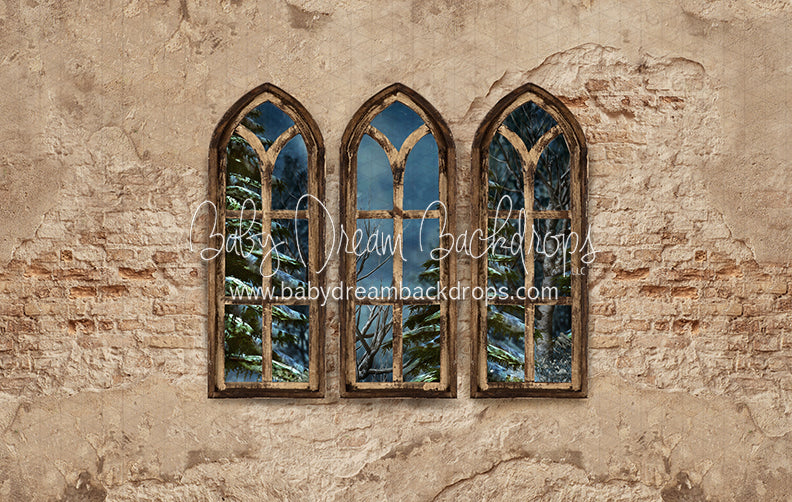 Boho Holiday Windows