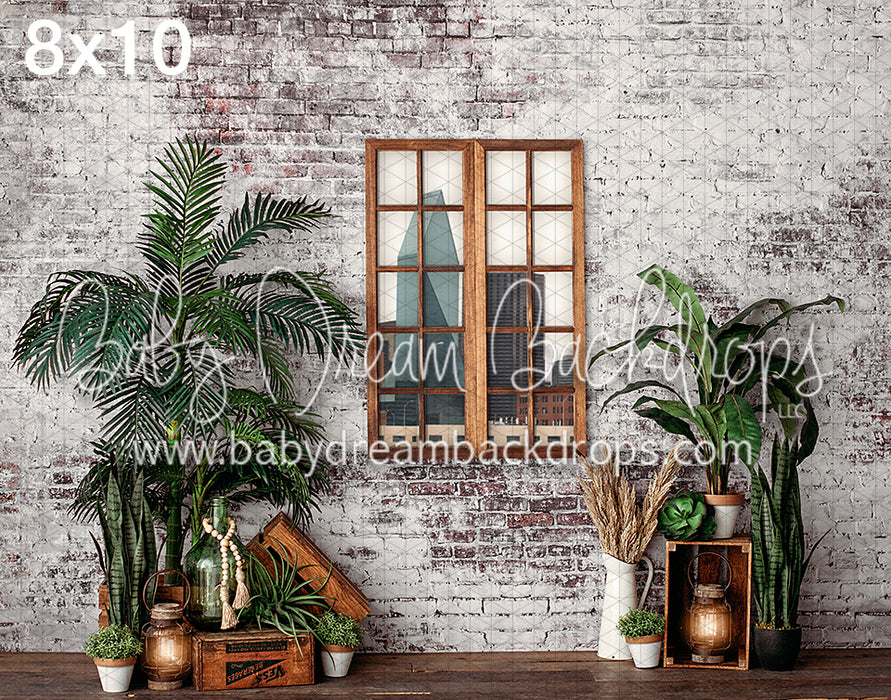 Boho Lives in Dallas