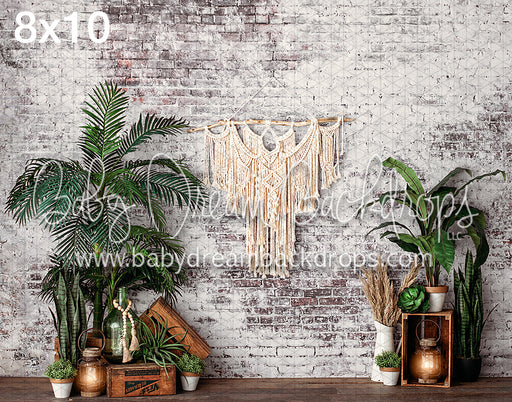 Boho Vibes VR 
