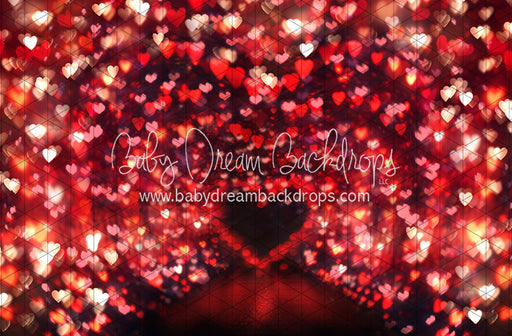 Bokelicious Love (JA)