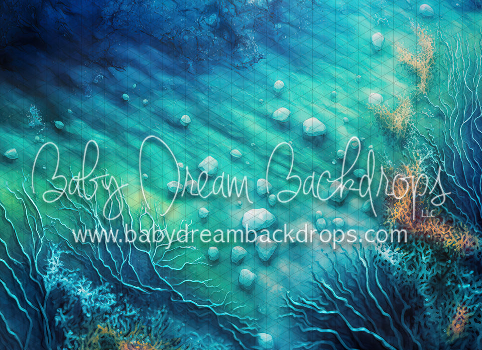 Bottom of the Painted Coral Reef (MD)