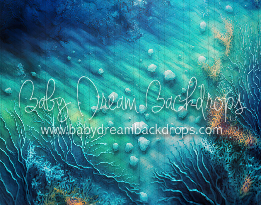 Bottom of the Painted Coral Reef (MD)