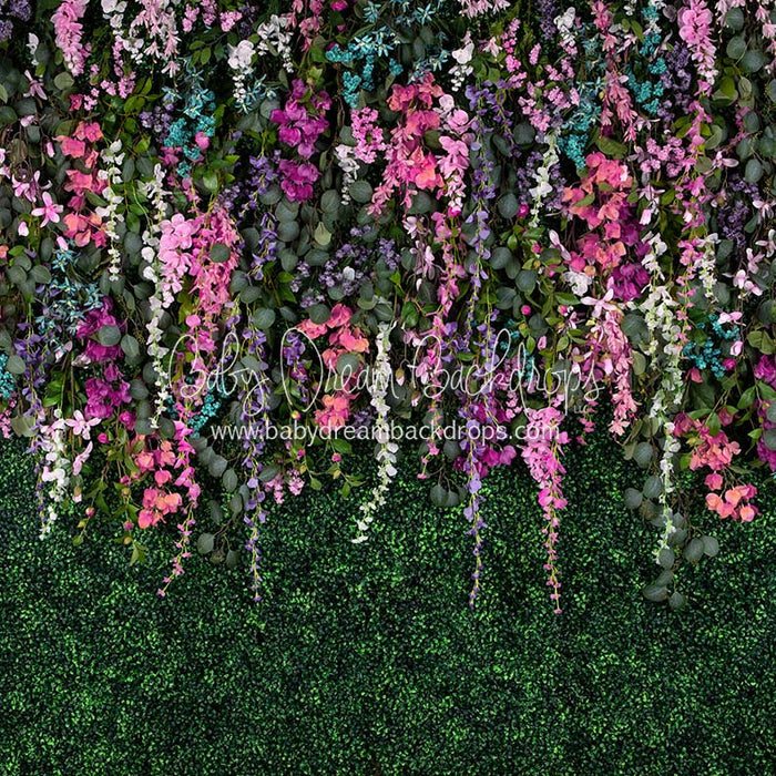 Boxwood Beauty Spring Fever (Pinks)